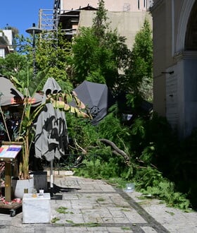 Πτώση μεγάλου δέντρου στο κέντρο της Αθήνας - Δύο τραυματίες