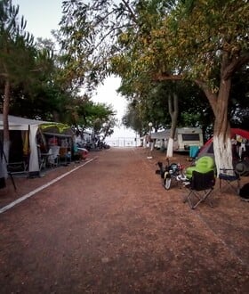ΦΟΙΝΙΚΟΥΝΤΑ ΔΟΛΟΦΟΝΙΑ ΚΑΜΠΙΝΓΚ