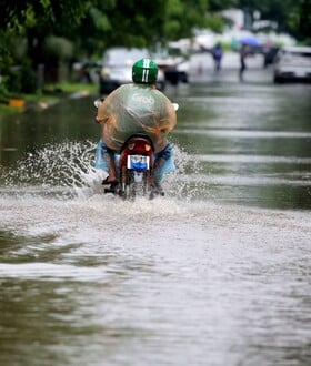 ΜΕΛΙΣΣΑ ΚΥΚΛΩΝΑΣ ΚΑΡΑΙΒΙΚΗ ΤΖΑΜΑΙΚΑ