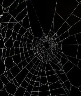 Στην Ελλάδα ο μεγαλύτερος ιστός αράχνης στον κόσμο