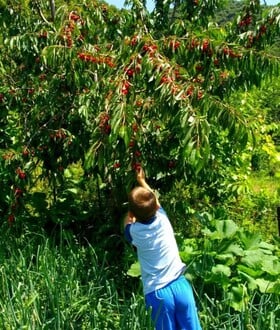 « Βγαίνω από το σπίτι μου το πρωί και πηγαίνω με ευχάριστη διάθεση στη δουλειά»
