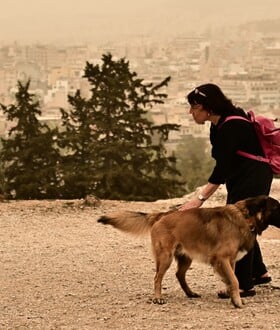 ΚΑΙΡΟΣ ΑΦΡΙΚΑΝΙΚΗ ΣΚΟΝΗ