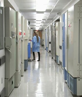 Έδεσσα: Σταθερή η κατάσταση του ζευγαριού που κατανάλωσε δηλητηριώδη μανιτάρια - «Τα μάζεψε ο πατέρας μου»