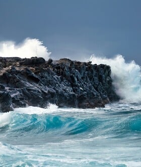 ΚΑΚΟΚΑΙΡΙΑ ΤΣΑΤΡΑΦΥΛΛΙΑΣ ΑΦΡΙΚΑΝΙΚΗ ΚΑΤΑΙΓΙΔΑ