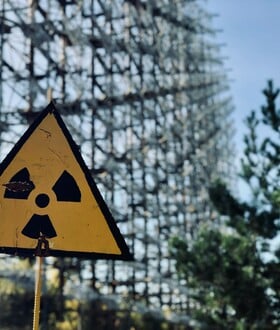 Τσέρνομπιλ Ραδιενέργεια Μύκητας