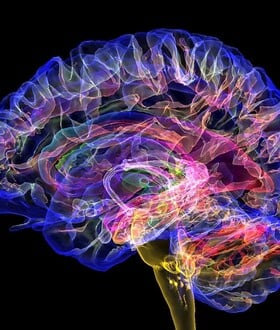 9, 32, 66 και 83 ετών: Αυτές είναι οι πέντε κρίσιμες ηλικίες του ανθρώπινου εγκεφάλου 