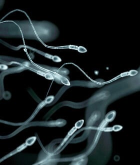 Σπέρμα από δότη με καρκινικό γονίδιο χρησιμοποιήθηκε για τη σύλληψη σχεδόν 200 παιδιών