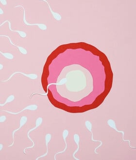 ΣΠΕΡΜΑ ΔΟΤΗ ΚΑΡΚΙΝΙΚΟ ΓΟΝΙΔΙΩΜΑ