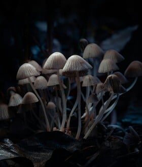 ΨΥΧΕΔΕΛΙΚΕΣ ΘΕΡΑΠΕΙΕΣ ΜΑΓΙΚΑ ΜΑΝΙΤΑΡΙΑ OCD