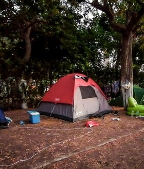 ΦΟΙΝΙΚΟΥΝΤΑ ΔΟΛΟΦΟΝΙΑ ΚΑΜΠΙΝΓΚ