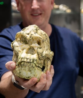 Απολίθωμα-ορόσημο ενδέχεται να ανήκει σε άγνωστο πρόγονο του ανθρώπου