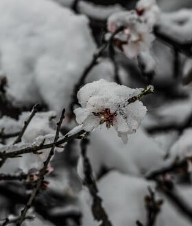 ΚΑΙΡΟΣ ΧΡΙΣΤΟΥΓΕΝΝΑ ΠΡΩΤΟΧΡΟΝΙΑ ΚΑΚΟΚΑΙΡΙΑ ΧΙΟΝΙΑ