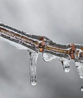 Μαρουσάκης: Το Σάββατο έρχεται βαρομετρικό χαμηλό - Κακοκαιρία με μεγάλο όγκο νερού και ραγδαιότητες