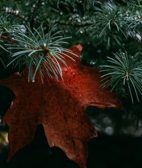 ΚΑΚΟΚΑΙΡΙΑ ΧΡΙΣΤΟΥΓΕΝΝΑ ΕΚΤΑΚΤΟ ΚΑΙΡΟΣ