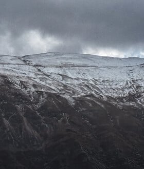 ΦΩΚΙΔΑ ΟΡΕΙΒΑΤΕΣ ΕΞΑΦΑΝΙΣΗ