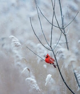 ΚΑΙΡΟΣ ΠΡΩΤΟΧΡΟΝΙΑ ΑΛΛΑΖΕΙ