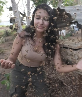 ΑΚΕΝΤΡΕΣ ΜΕΛΙΣΣΕΣ ΤΟΥ ΑΜΑΖΟΝΙΟΥ ΝΟΜΙΚΑ ΔΙΚΑΙΩΜΑΤΑ