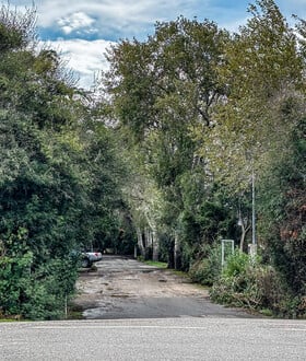 ΦΟΙΝΙΚΟΥΝΤΑ ΔΙΠΛΗ ΔΟΛΟΦΟΝΙΑ ΚΑΤΗΓΟΡΟΥΜΕΝΟΙ