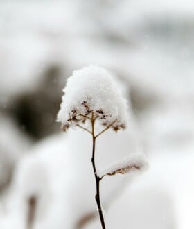 Καιρός - Τσατραφύλλιας: Ψυχρή εισβολή με θυελλώδεις ανέμους, καταιγίδες και χιόνια σήμερα στη χώρα