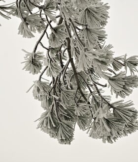 ΚΑΙΡΟΣ ΧΙΟΝΙΑ ΑΤΤΙΚΗ ΨΥΧΡΗ ΕΙΣΒΟΛΗ