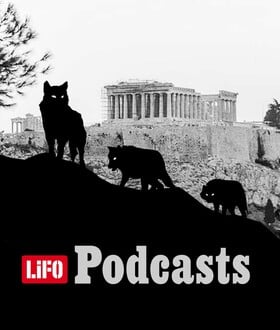 Λύκε, λύκε, είσαι εδώ; Όταν η άγρια ζωή φτάνει στην αυλή μας