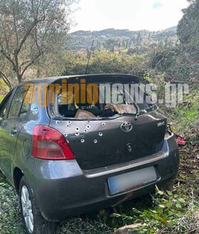 ΑΓΡΙΝΙΟ ΔΟΛΟΦΟΝΙΑ