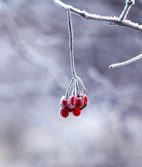 Καιρός: Θυελλώδης βοριάς από τη Μαύρη Θάλασσα φέρνει ψύχος και χιόνια σήμερα στη χώρα
