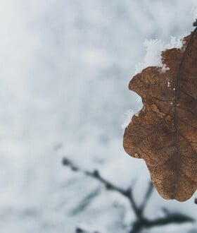 ΚΑΙΡΟΣ ΨΥΧΟΣ ΚΡΥΟ ΚΟΛΥΔΑΣ ΑΤΤΙΚΗ