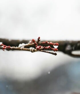 Νέα μεταβολή του καιρού με «λασποβροχές, χιόνια και 20άρια» - Καταιγίδες εκ νέου στην Αττική