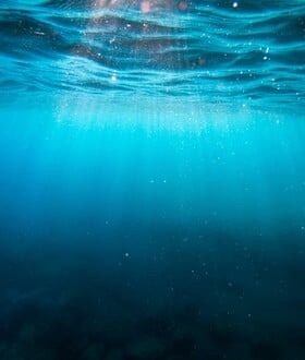 ΕΞΑΦΑΝΙΣΗ ΑΝΘΡΩΠΟΥ ΓΗ ΕΙΔΟΣ