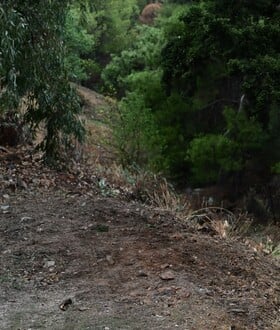 ΚΑΡΠΕΝΗΣΙ ΣΟΡΟΣ ΓΚΡΕΜΟΣ ΑΥΤΟΚΙΝΗΤΟ
