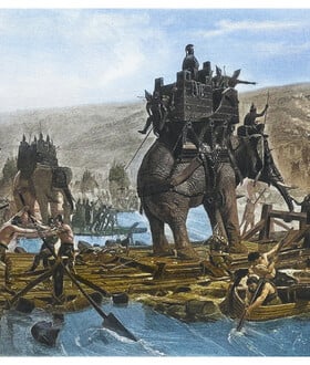 ΑΝΝΙΒΑΣ ΙΣΠΑΝΙΑ ΕΛΕΦΑΝΤΕΣ