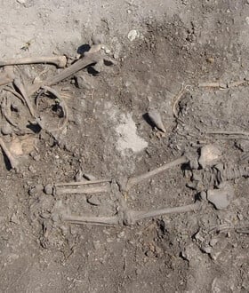 ΛΙΘΙΝΗ ΕΠΟΧΗ ΣΟΥΗΔΙΑ ΟΙΚΟΓΕΝΕΙΑ