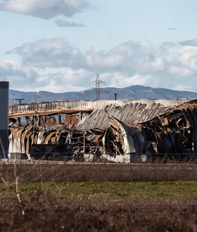ΒΙΟΛΑΝΤΑ ΜΑΡΤΥΡΙΑ ΕΚΡΗΞΗ 