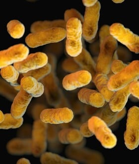 ΕΝΤΕΡΟ ΜΙΚΡΟΒΙΩΜΑ ΥΠΕΡΕΠΕΞΕΡΓΑΣΜΕΝΑ ΤΡΟΦΙΜΑ