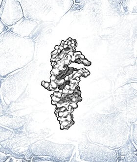 RNA DNA ΑΝΘΡΩΠΙΝΗ ΖΩΗ CAMBRIDGE