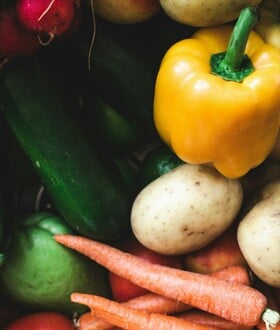 ΚΑΡΚΙΝΟΣ ΧΟΡΤΟΦΑΓΟΙ ΕΡΕΥΝΑ