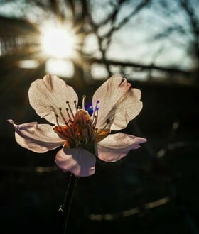 Καιρός - Κολυδάς: «Ο Μάρτιος δεν φαίνεται να επιβεβαιώνει τον χαρακτηρισμό του "γδάρτη"»