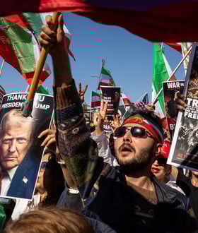 Welcome to the Jungle