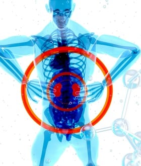 ΝΕΦΡΙΚΗ ΝΟΣΟΣ ΣΗΜΑΔΙΑ