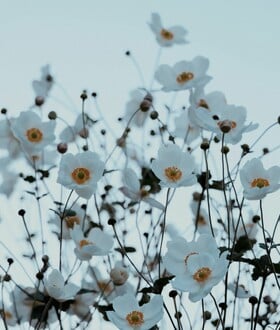 ΚΑΙΡΟΣ ΣΑΒΒΑΤΟ ΚΥΡΙΑΚΗ ΚΡΥΟ