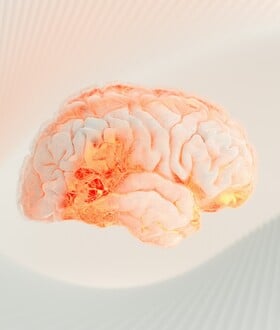 ΚΙΝΑ ΕΓΚΕΦΑΛΟΣ ΕΜΦΥΤΕΥΜΑ