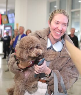 ΝΤΟΥΜΠΑΪ ΠΤΗΣΗ ΕΠΑΝΑΠΑΤΡΙΣΜΟΣ ΚΑΤΟΙΚΙΔΙΑ