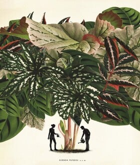 Φτιάξαμε ινσταγκραμικούς κήπους. Ξοδέψαμε περιουσίες. Τώρα μαράθηκαν όλα.