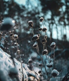 ΚΑΙΡΟΣ ΚΡΥΟ ΠΤΩΣΗ ΘΕΡΜΟΚΡΑΣΙΑΣ 25Η ΜΑΡΤΙΟΥ