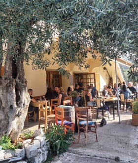 «Πάντα ήθελα να δοκιμάσω να επιβιώσω στο χωριό»