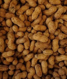 ΕΦΕΤ ΦΙΣΤΙΚΙ ΑΝΑΚΛΗΣΗ