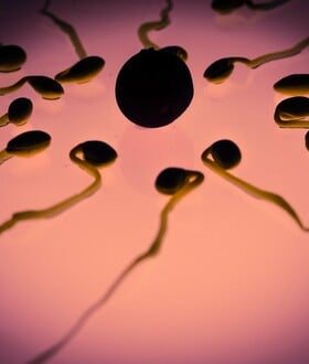 ΣΠΕΡΜΑΤΟΖΩΑΡΙΑ ΔΙΑΣΤΗΜΑ ΜΙΚΡΟΒΑΡΥΤΗΤΑ