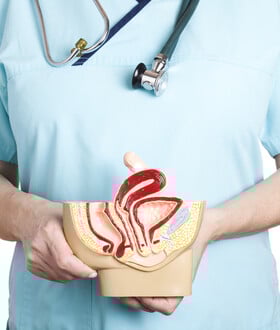 ΚΛΕΙΤΟΡΙΔΑ ΑΝΑΤΟΜΙΑ ΕΠΙΣΤΗΜΟΝΙΚΗ ΕΡΕΥΝΑ