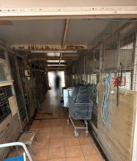 ΑΜΠΕΛΟΚΗΠΟΙ ΠΑΡΑΝΟΜΗ ΕΚΤΡΟΦΗ ΚΟΤΟΠΟΥΛΑ ΔΙΚΟΓΡΑΦΙΑ ΤΑΡΑΤΣΑ